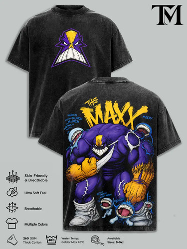 The maxx comic vintage - the,